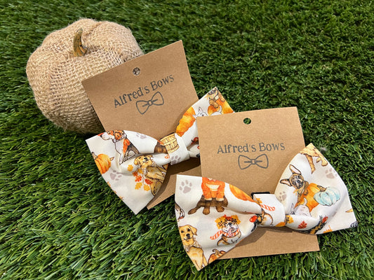 Alfred's Bows Harvest Dogs Medium Bow