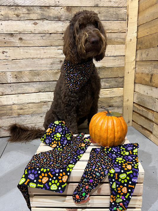 "Trick or Treat Candy"  Handmade Bandana (Reversible - Snap)