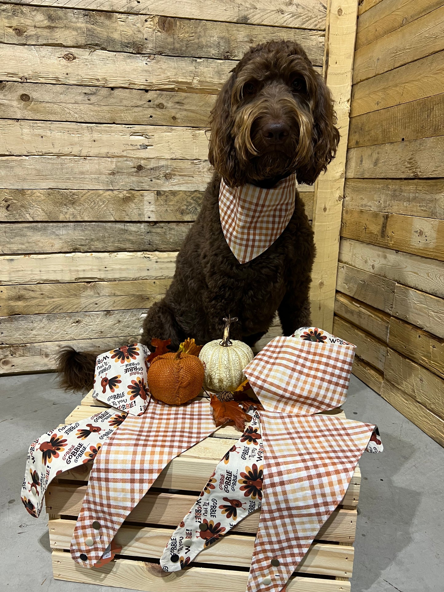 "Fall / Thanksgiving"  Handmade Bandana (Reversible - Snap)