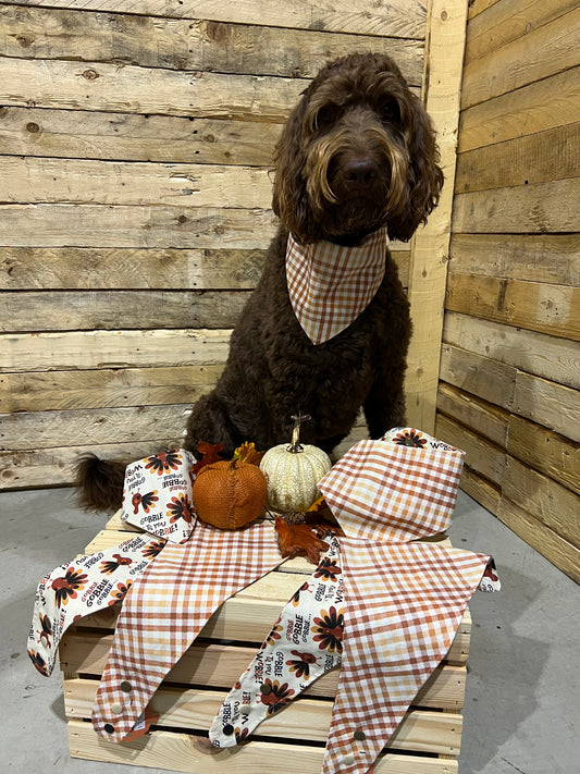"Fall / Thanksgiving"  Handmade Bandana (Reversible - Snap)