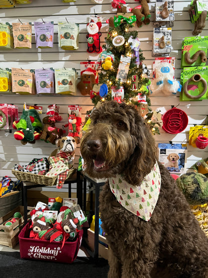 "Christmas Tree"  Handmade Bandana (Reversible - Snap)