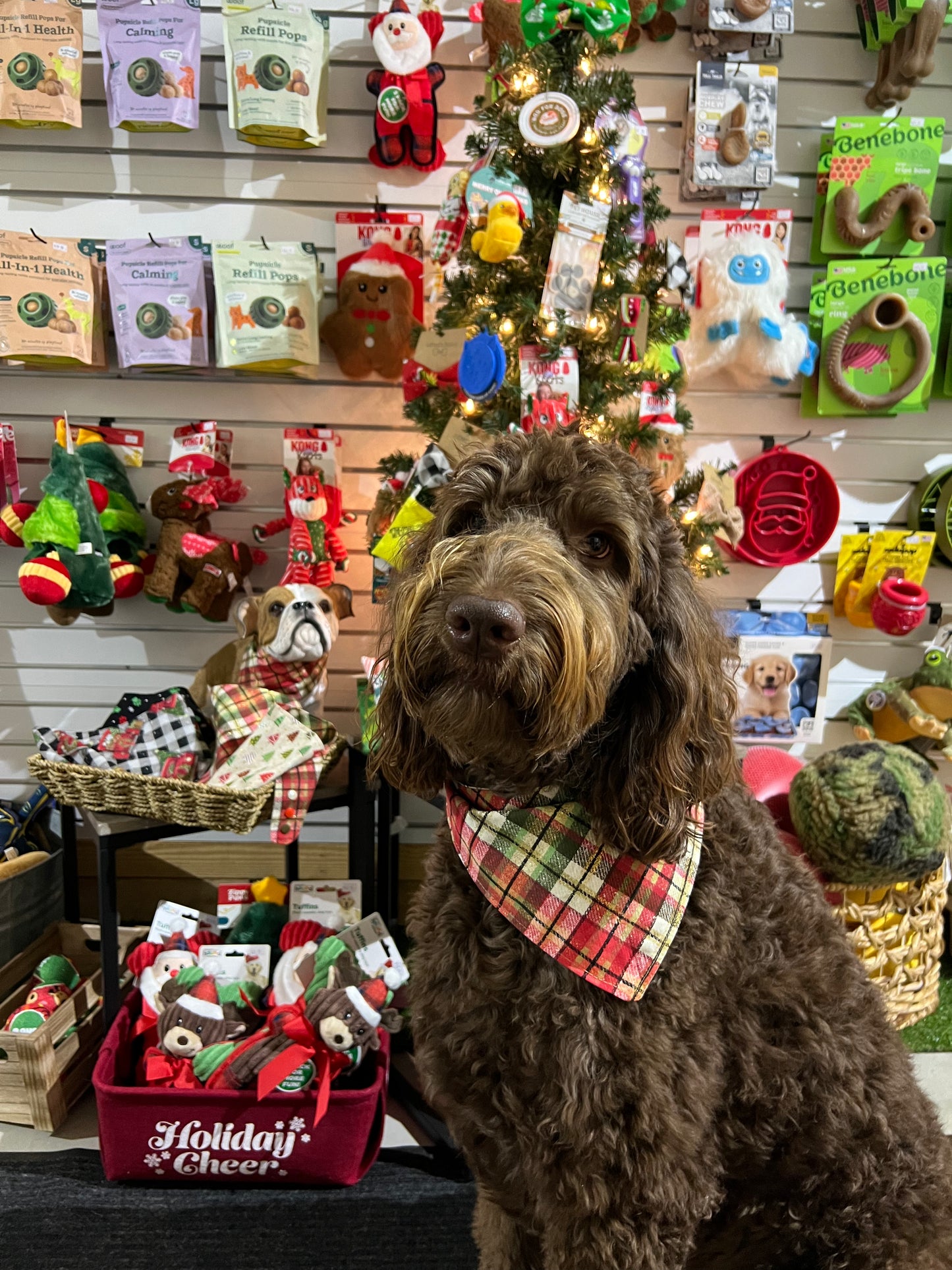 "Christmas Tree"  Handmade Bandana (Reversible - Snap)