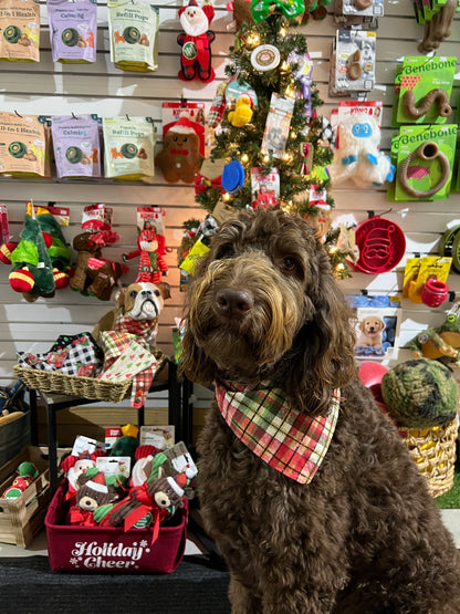 "Christmas Tree"  Handmade Bandana (Reversible - Snap)