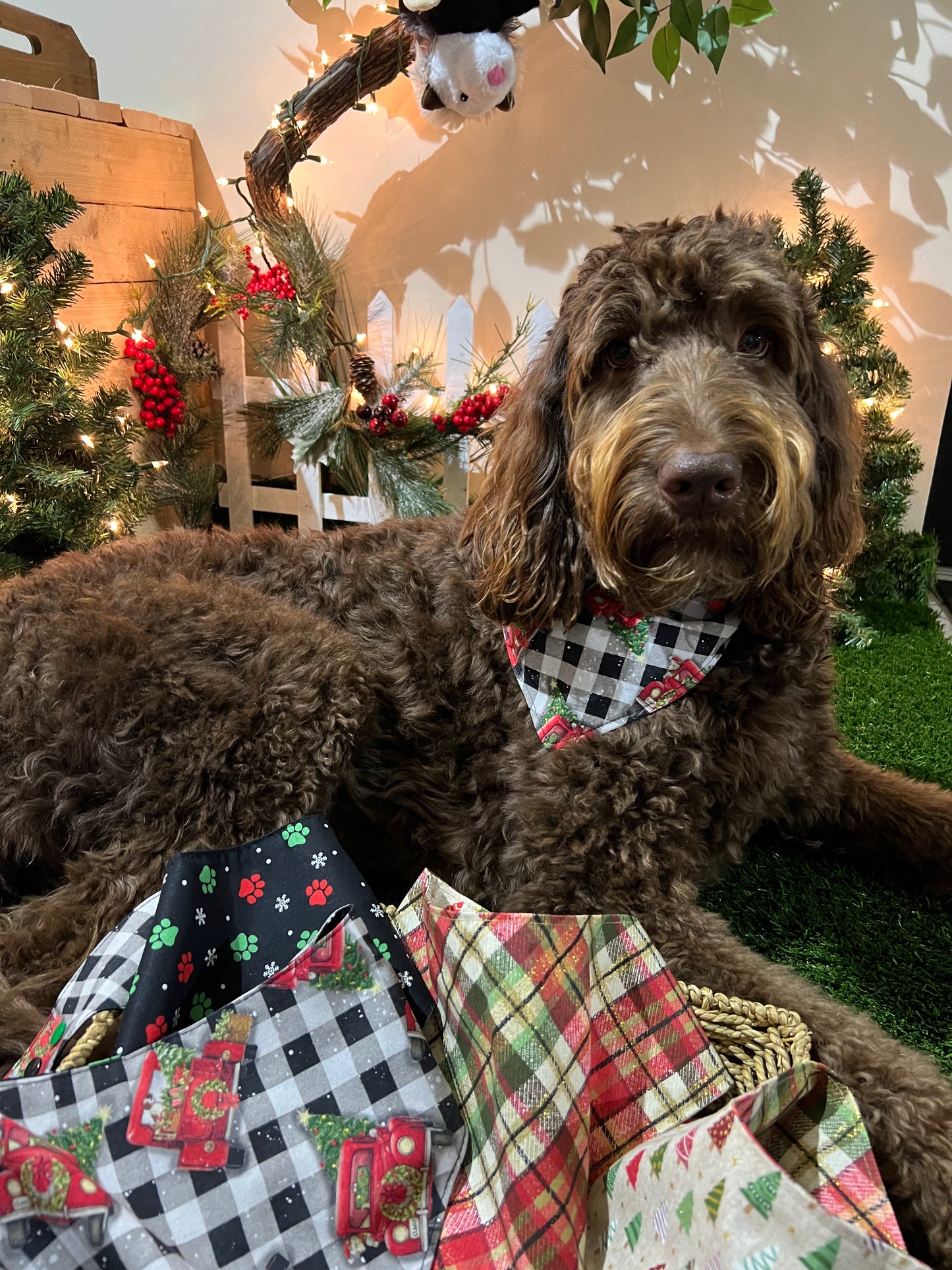 "Christmas Truck"  Handmade Bandana (Reversible - Snap)