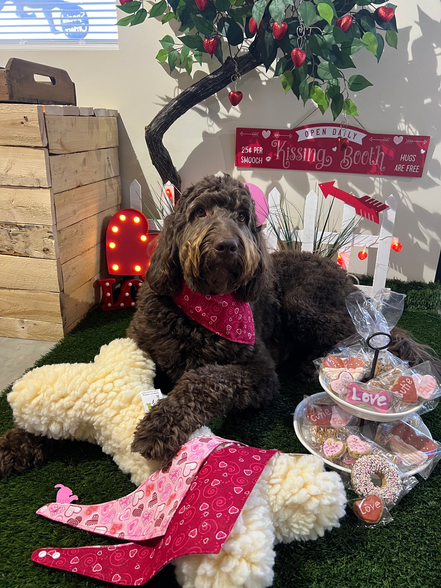 "Valentine's Hearts"  Handmade Bandana (Reversible - Snap)