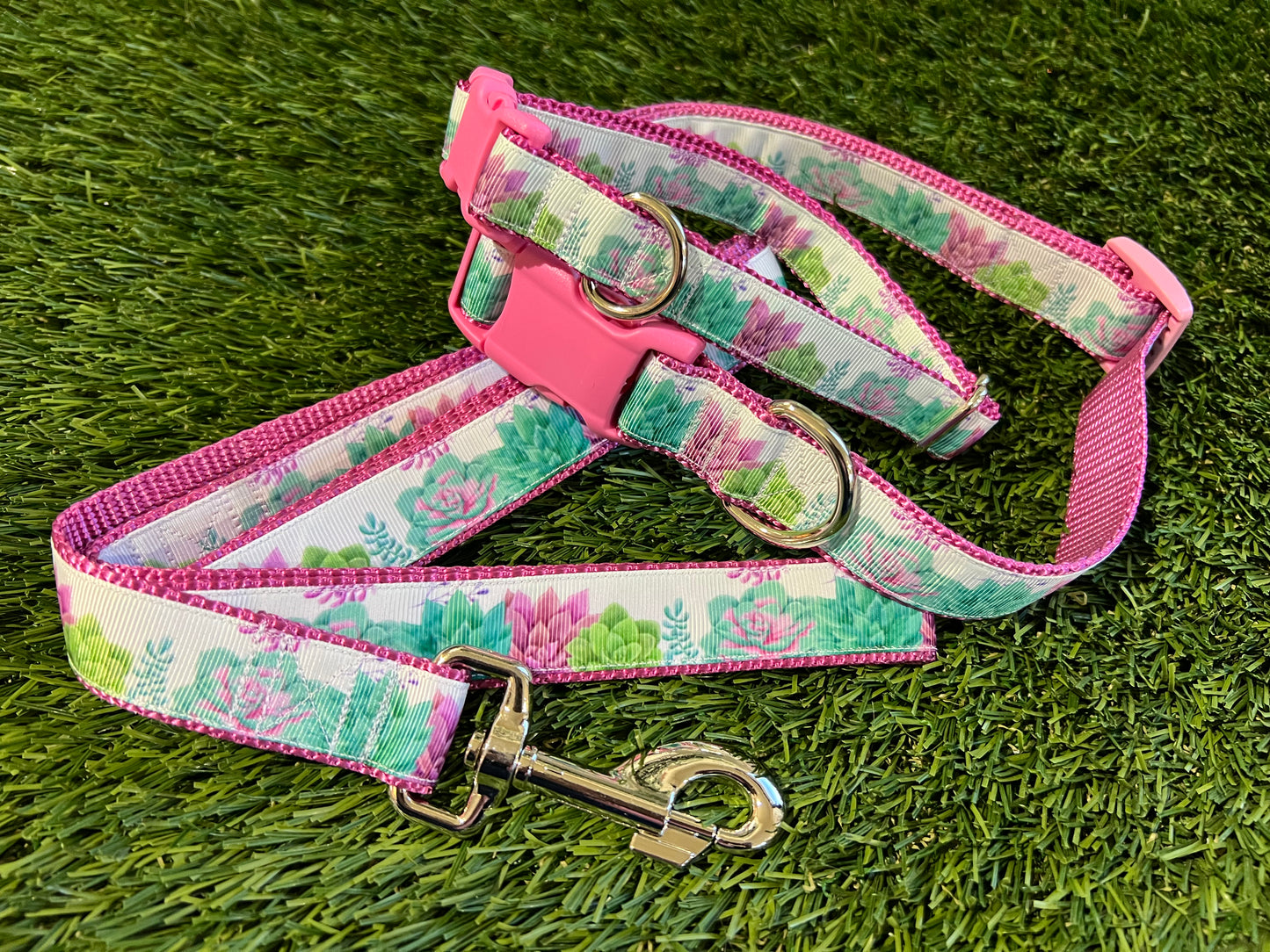 Trendies Succulent Dog Collar/Leash