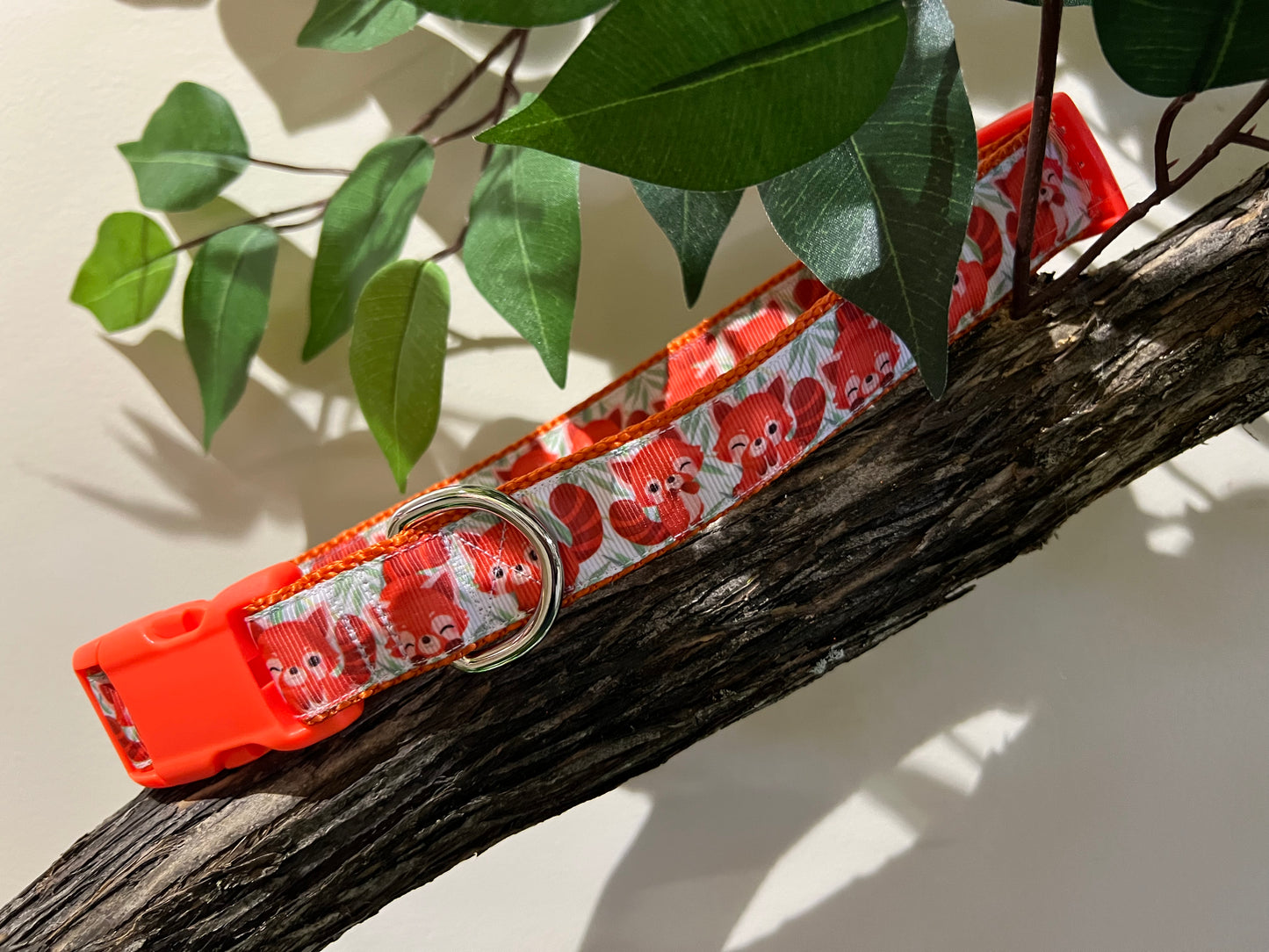 Trendies Orange Raccoon Dog Collar