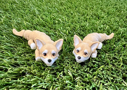 Adopt A Pet - DOG Flexi (Bundle and Save 5 for $20)