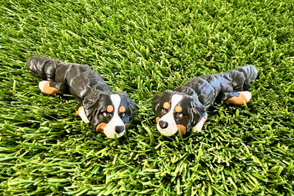 Adopt A Pet - DOG Flexi (Bundle and Save 5 for $20)