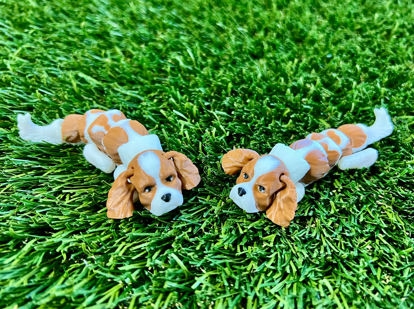 Adopt A Pet - DOG Flexi (Bundle and Save 5 for $20)