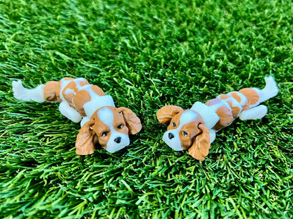 Adopt A Pet - DOG Flexi (Bundle and Save 5 for $20)