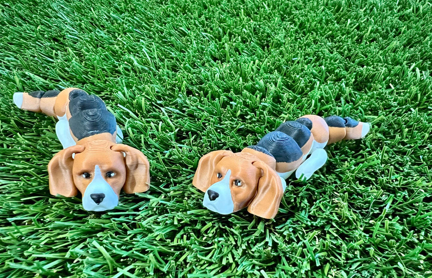 Adopt A Pet - DOG Flexi (Bundle and Save 5 for $20)