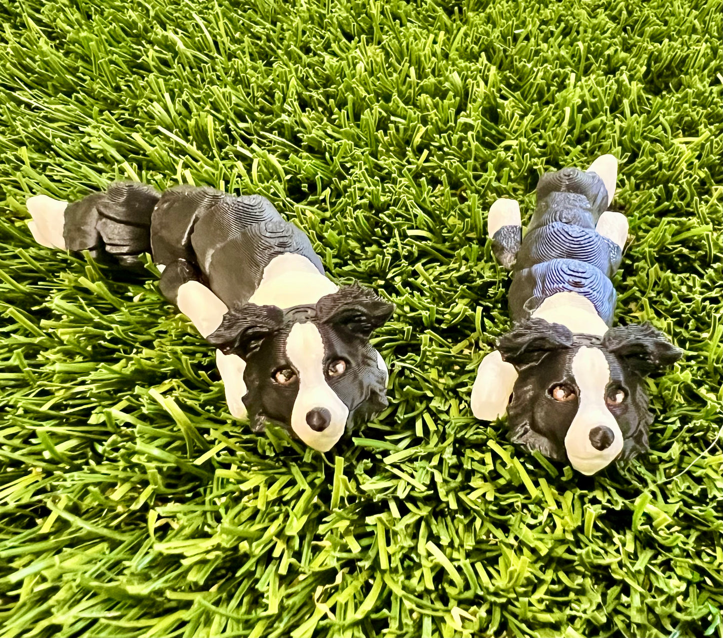 Adopt A Pet - DOG Flexi (Bundle and Save 5 for $20)