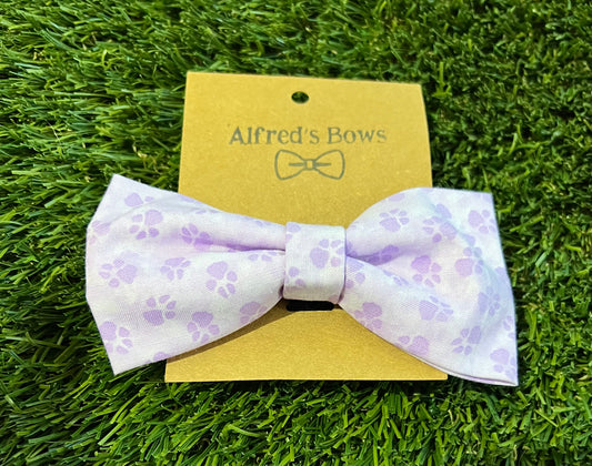 Alfred's Bows Purple Paws Medium Bow