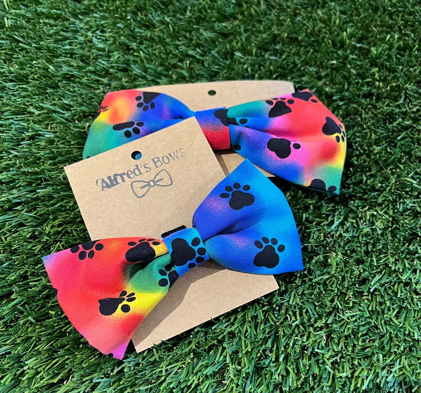 Alfred's Bows Tye Dye Paws Medium Bow