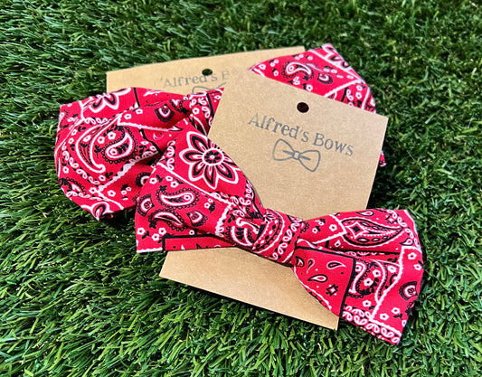Alfred's Bows Bandana Print Medium Bow