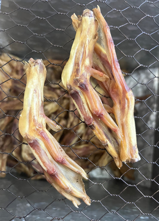Duck Feet - DOG TREAT
