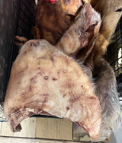 Hairy Pig Ear Dog Chews