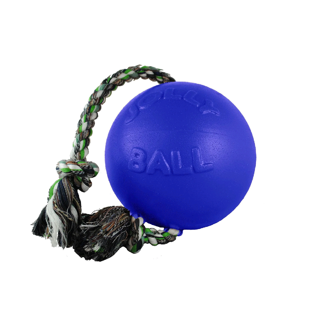 Romp-n-Roll 4.5" Blue