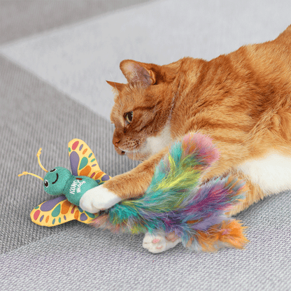 Cat Wubba Butterfly