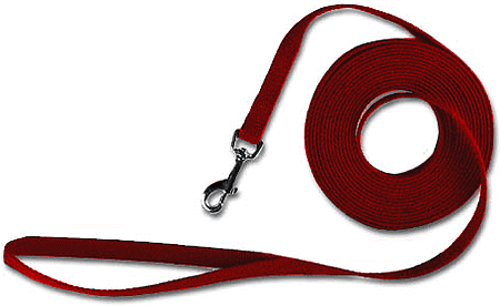 Kool Kotten Training Lead 20' Red