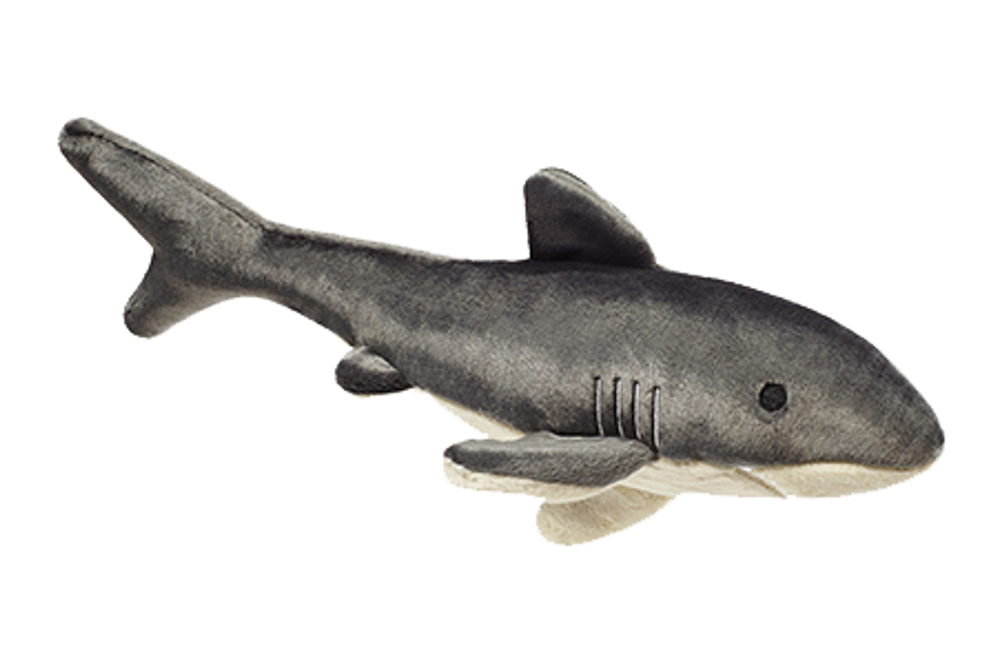 Mac the Shark