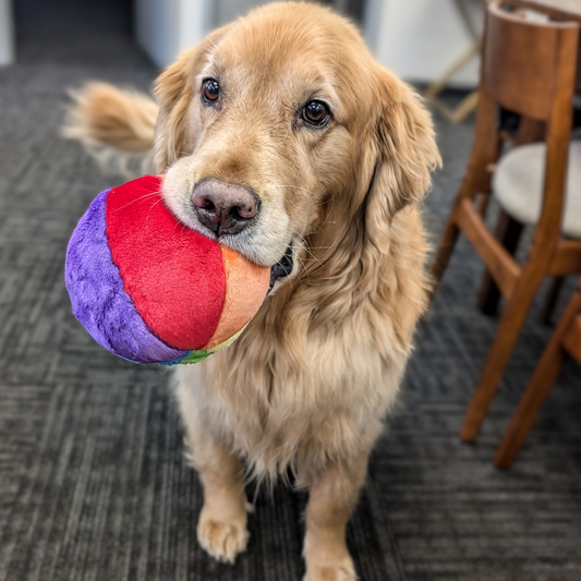 Mini Beach Ball
