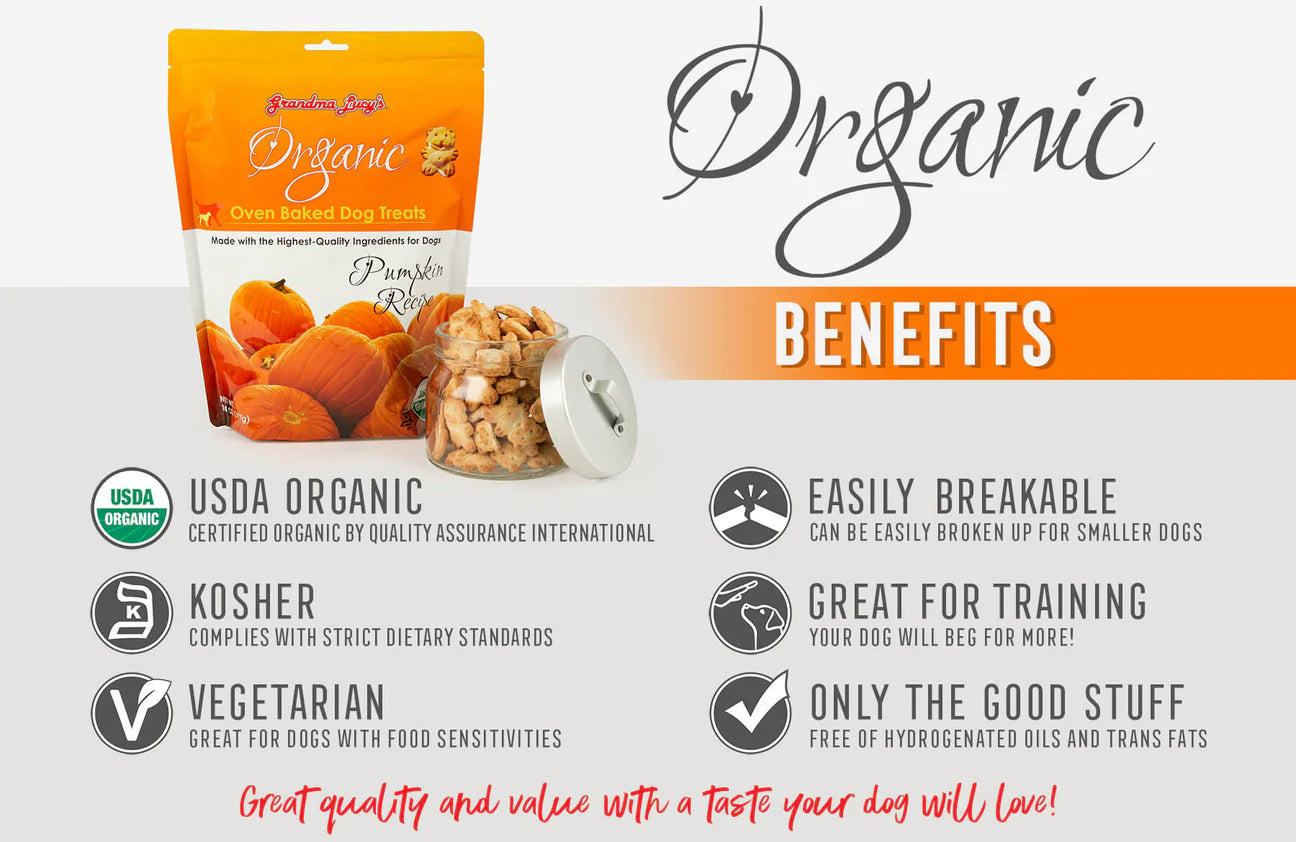 GRANDMA LUCY 14 OZ ORGANIC BAKED PUMPKIN TREAT