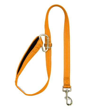 Hudson Bay Dog Leash 4ft  (Colors Can Be Special Ordered)