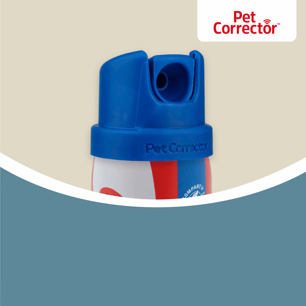 The Company of Animals Pet Corrector 50ml