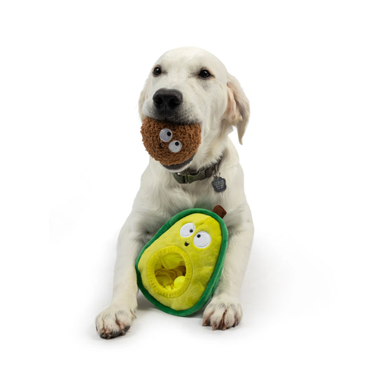 POP'N FETCH AVOCADO DOG TOY