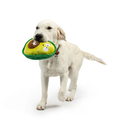 POP'N FETCH AVOCADO DOG TOY