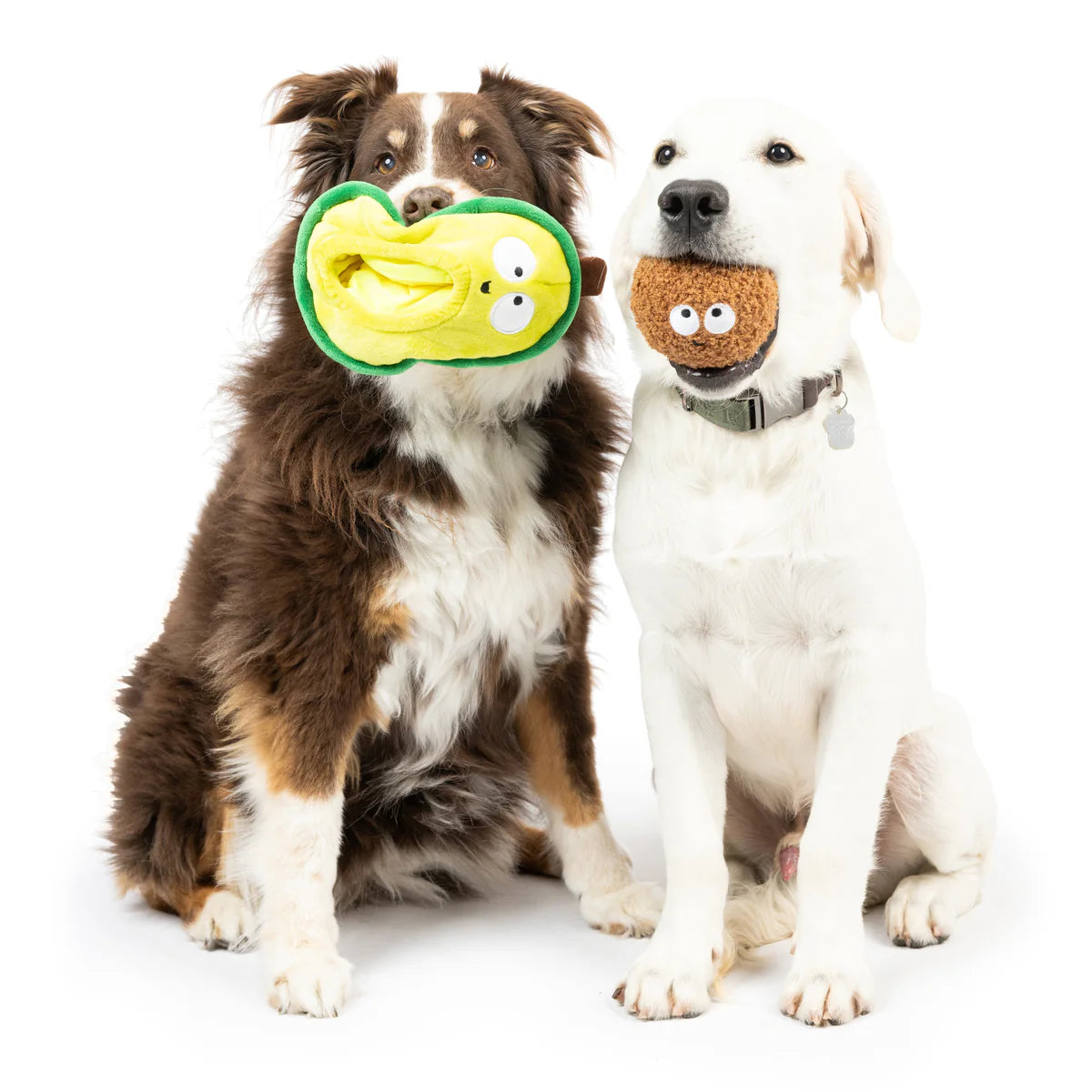 POP'N FETCH AVOCADO DOG TOY