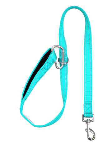 Hudson Bay Dog Leash 4ft  (Colors Can Be Special Ordered)