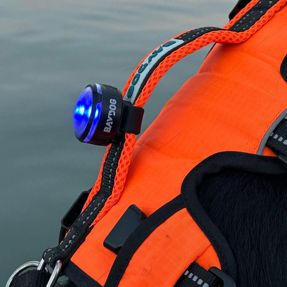 Firefly - Rechargable LED Safety Light