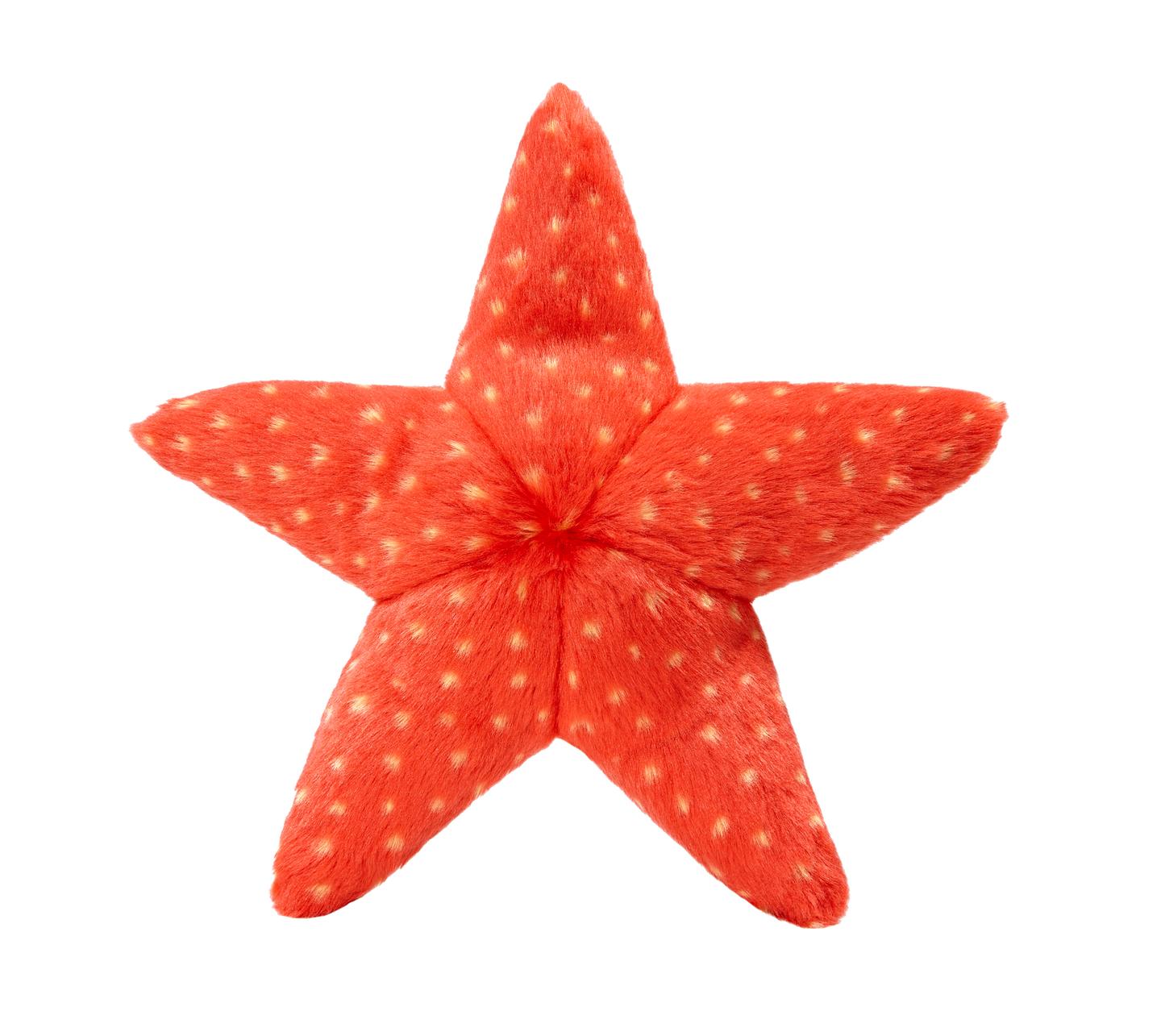 Ziggy Starfish