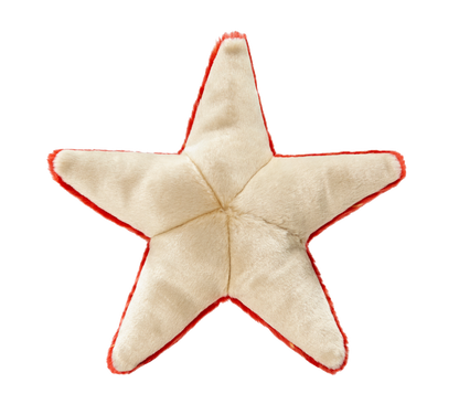 Ziggy Starfish