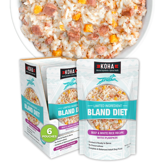 Limited Ingredient Wet Bland Diet Beef & White Rice Recipe for Dogs
