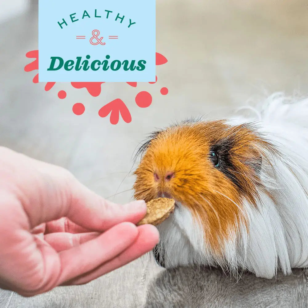 NATURAL SCIENCE VITAMIN C SUPPORT for Small Animals