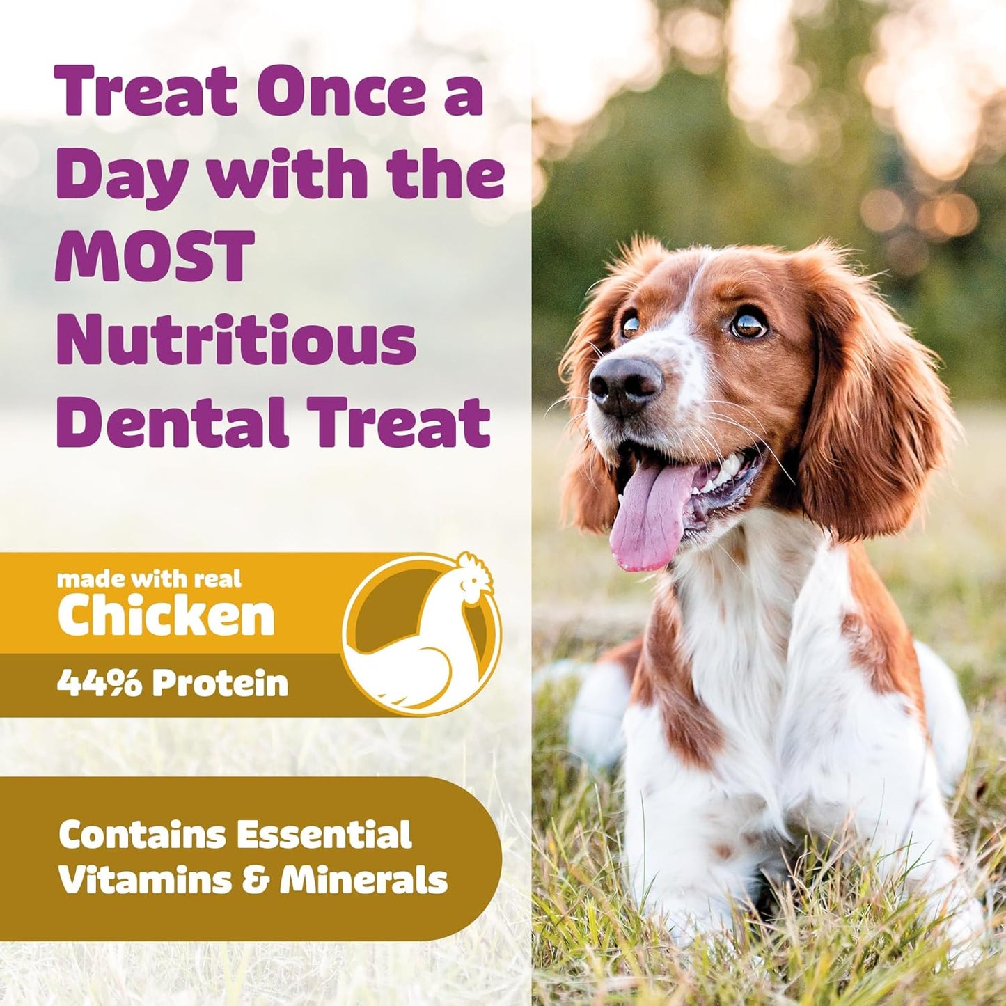 Yummy Comb Dental Chews (Trial Size - Chicken)