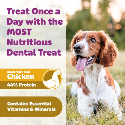 Yummy Comb Dental Chews (Trial Size - Chicken)