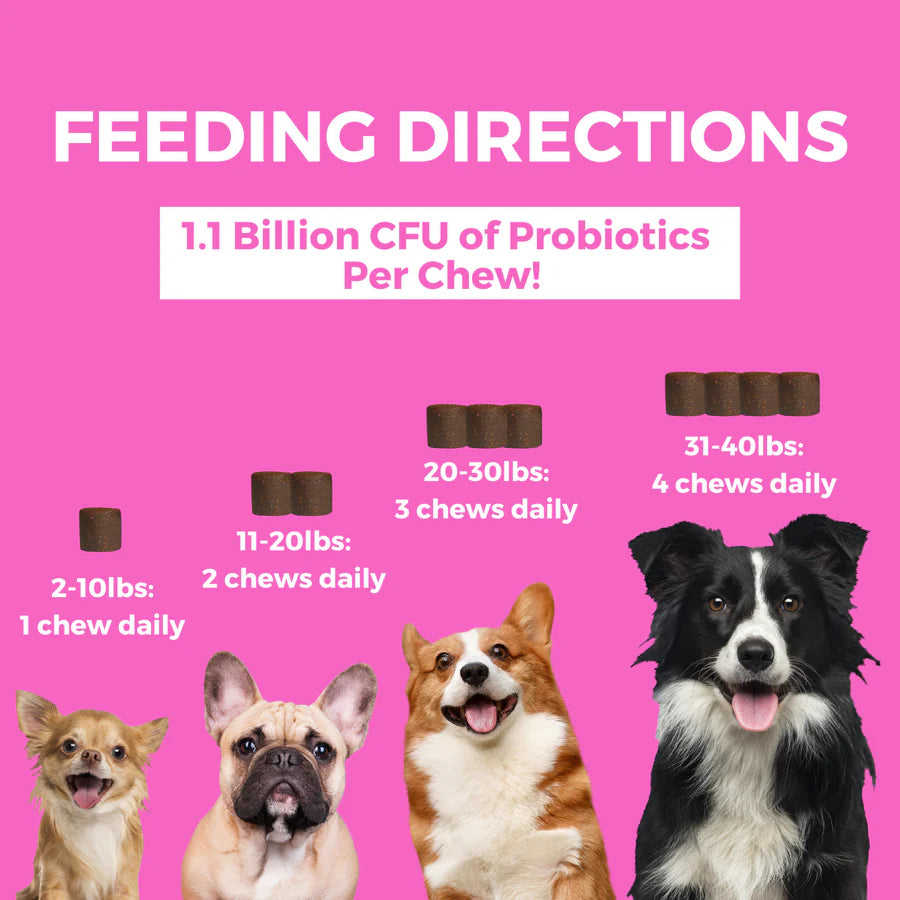 Progility Minis Pre & Probiotics Soft Chews for Small to Medium Dogs