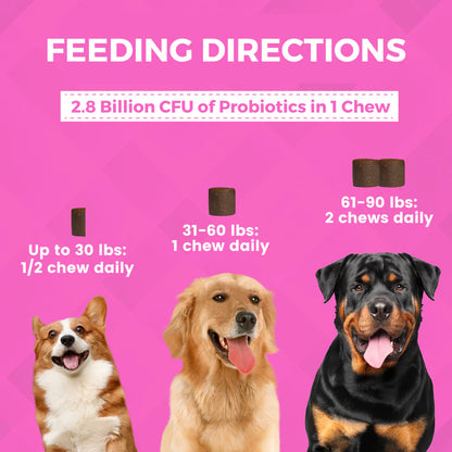 Progility Pre & Probiotics Soft Chews for Dogs