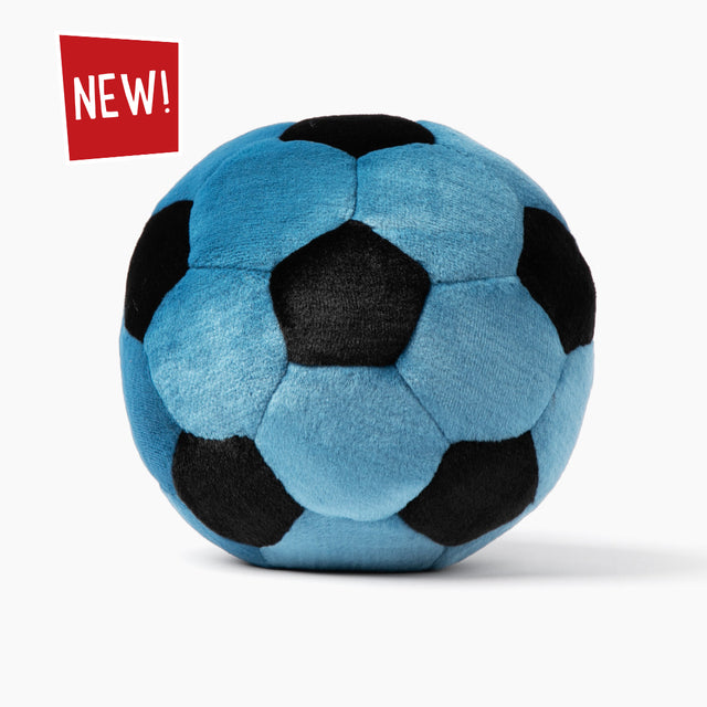 Blue Soccer Ball