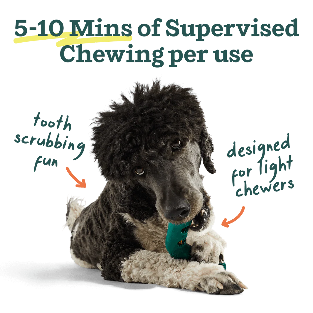 Woof Bite N' Brush Dental Refills - BEEF
