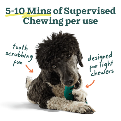 Woof Bite N' Brush Dental Refills - BEEF