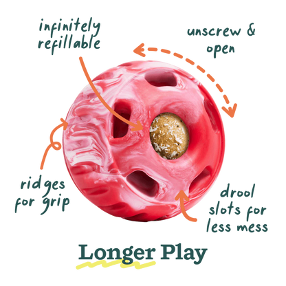 Peppermint Swirl Holiday Pupsicle (LIMITED TIME)