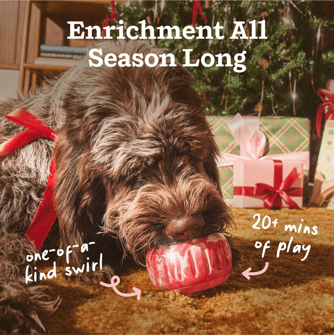 Peppermint Swirl Holiday Pupsicle (LIMITED TIME)