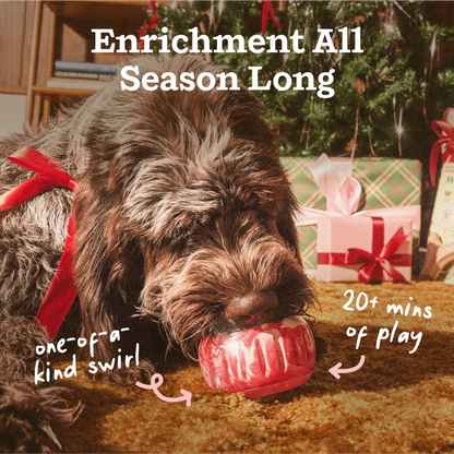 Peppermint Swirl Holiday Pupsicle (LIMITED TIME)