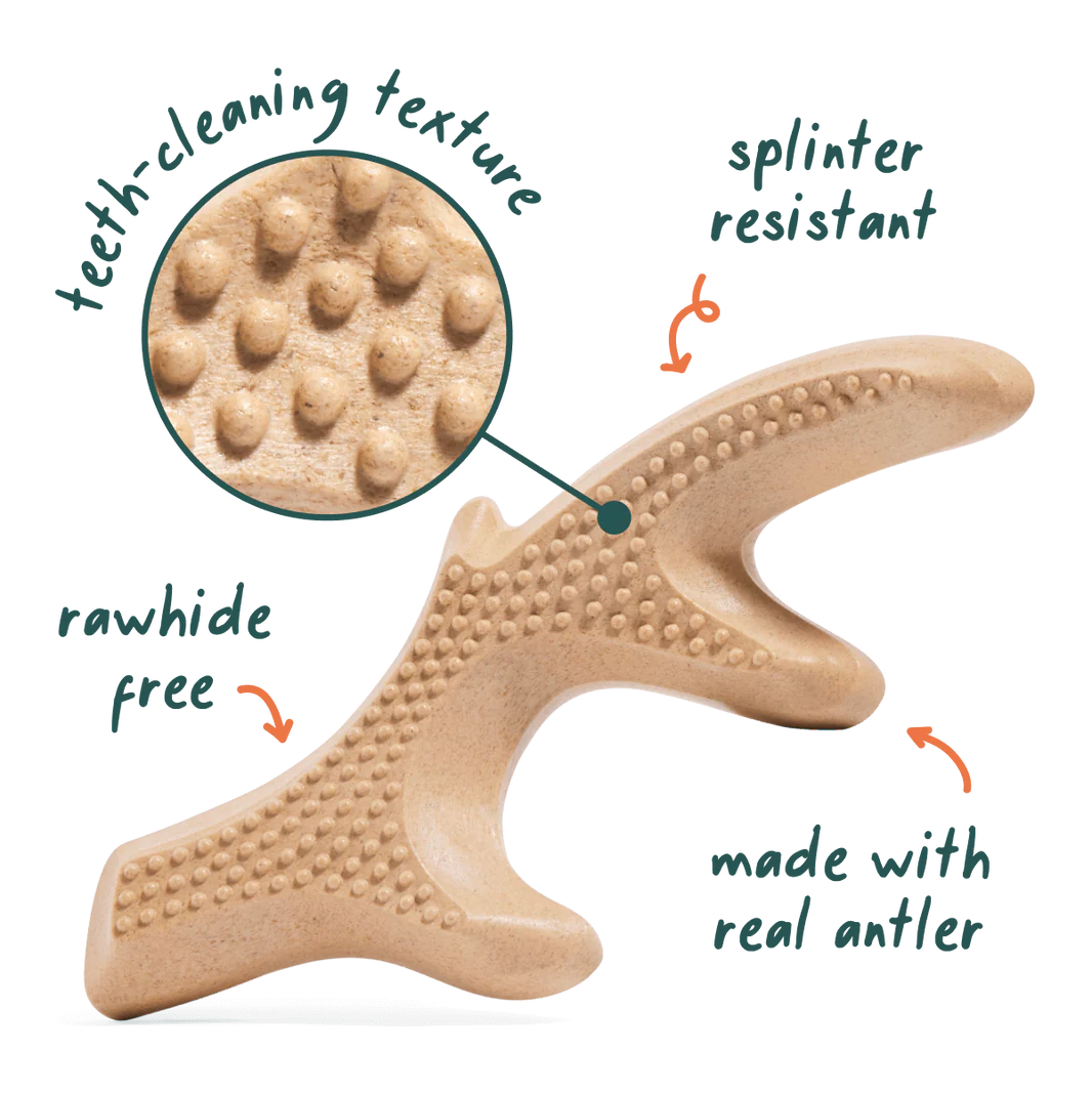 HonestChew Antler